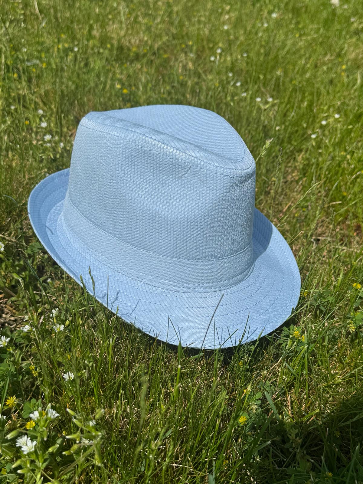 Powder Blue Fedora