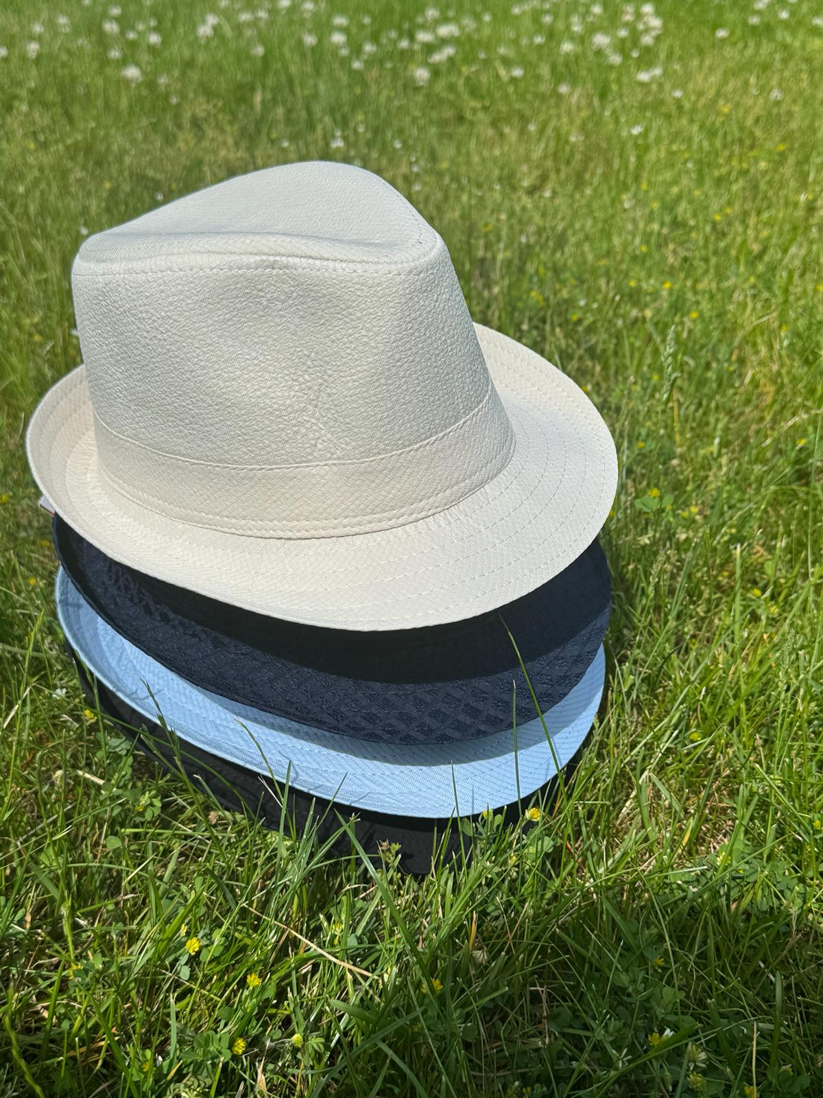 Navy Fedora