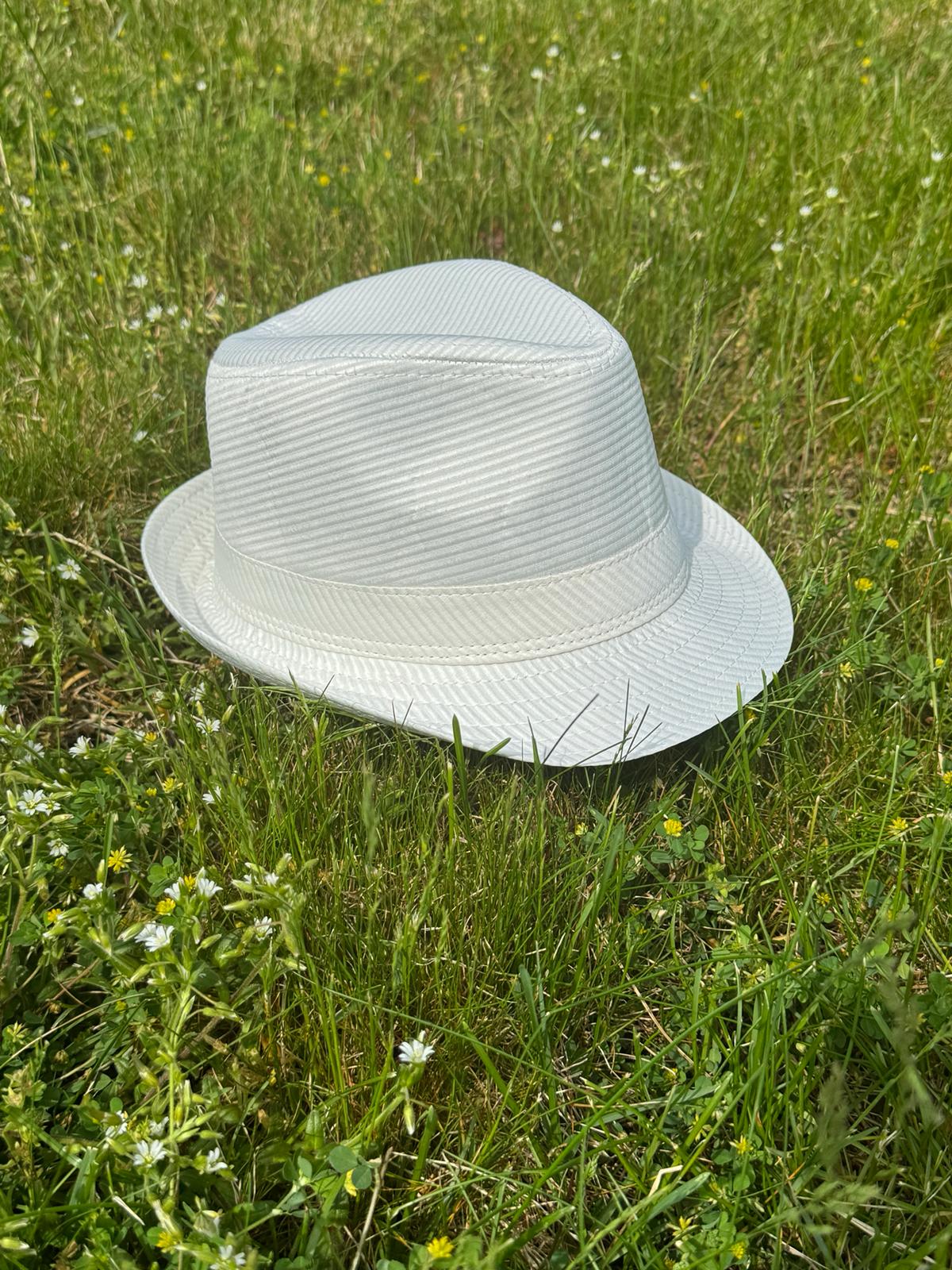 Ivory Fedora